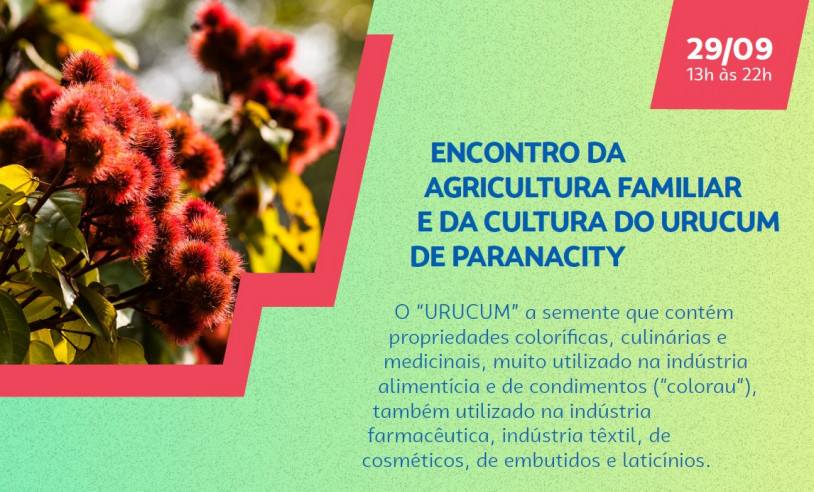 ASN Paraná - Agência Sebrae de Notícias