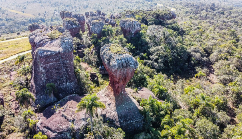 ASN Paraná - Agência Sebrae de Notícias