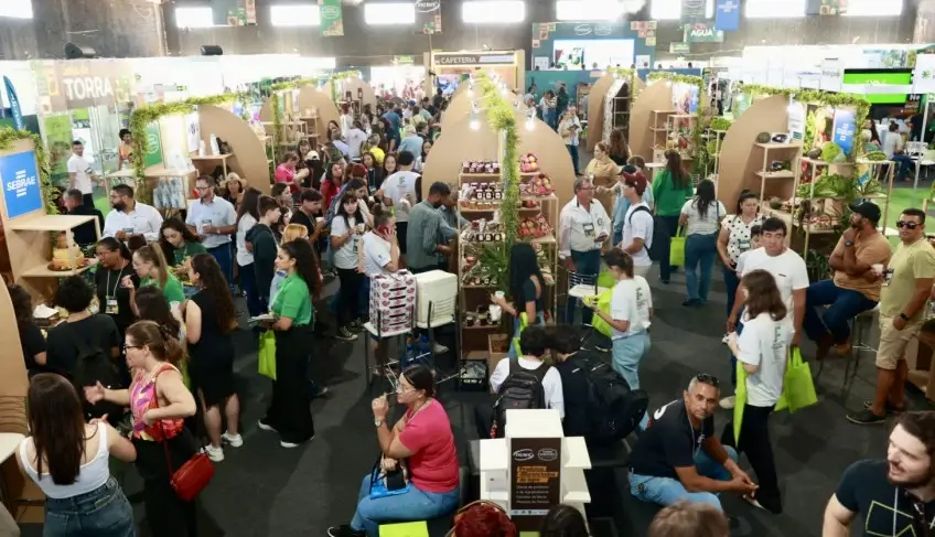 ASN Paraná - Agência Sebrae de Notícias