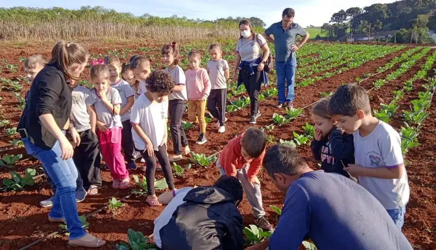 ASN Paraná - Agência Sebrae de Notícias