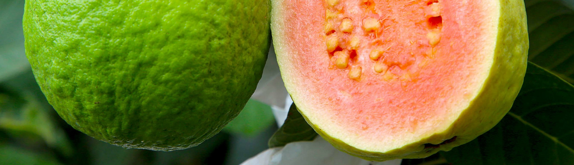 ASN Paraná - Agência Sebrae de Notícias