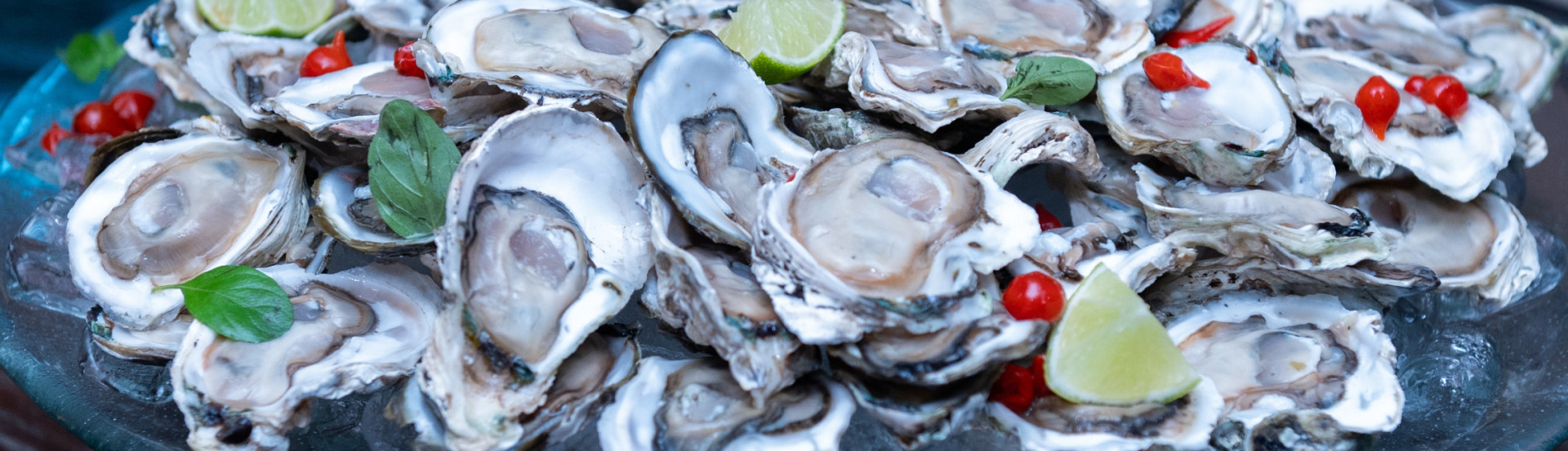 ASN Paraná - Agência Sebrae de Notícias