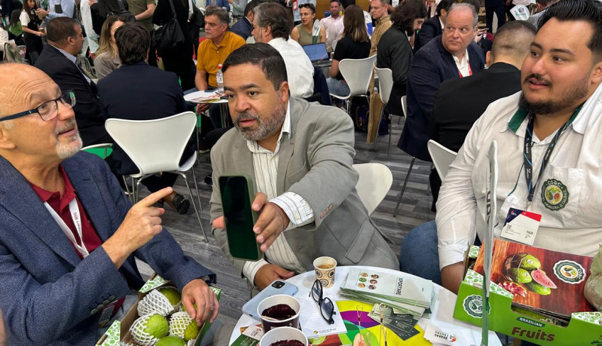 ASN Paraná - Agência Sebrae de Notícias