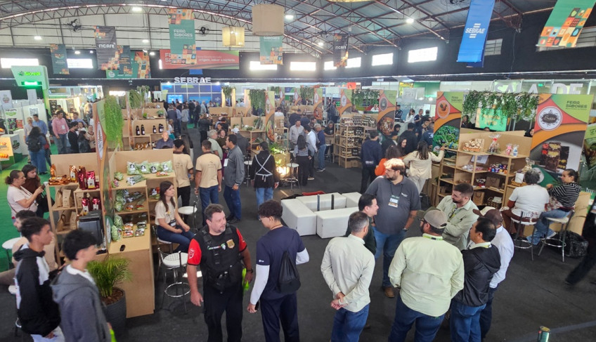 ASN Paraná - Agência Sebrae de Notícias