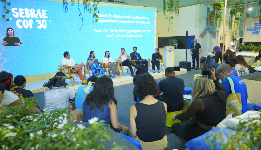 ASN Paraná - Agência Sebrae de Notícias