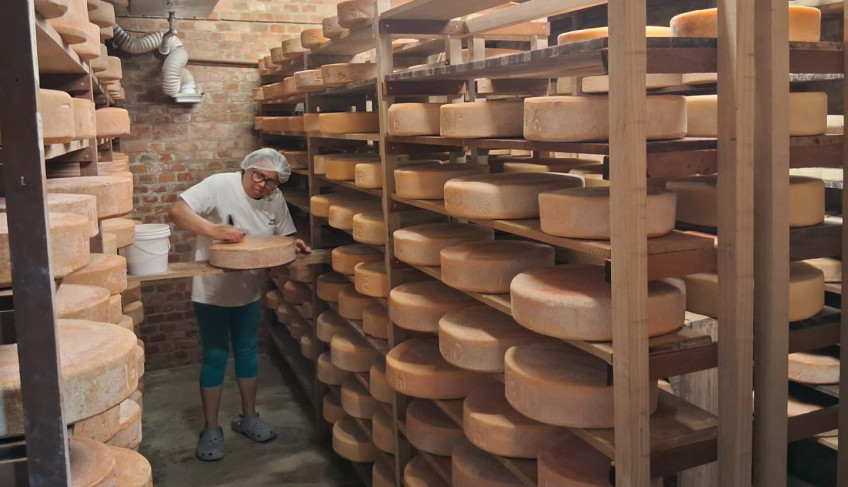 ASN Paraná - Agência Sebrae de Notícias