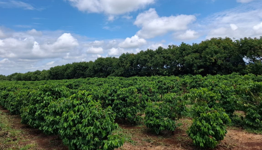 ASN Paraná - Agência Sebrae de Notícias