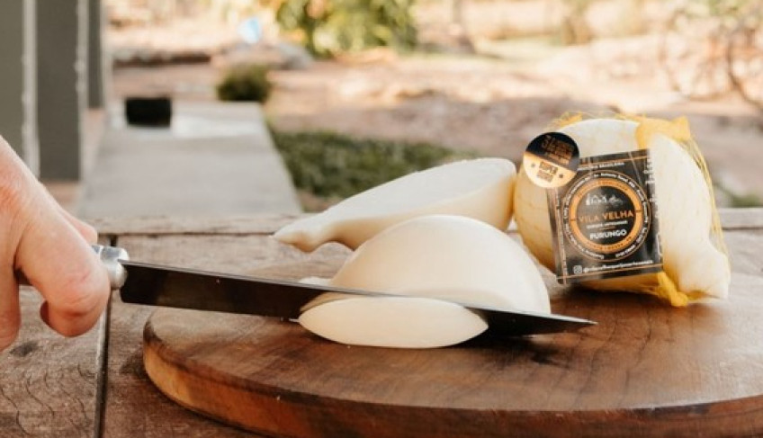 ASN Paraná - Agência Sebrae de Notícias