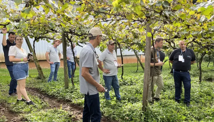 ASN Paraná - Agência Sebrae de Notícias