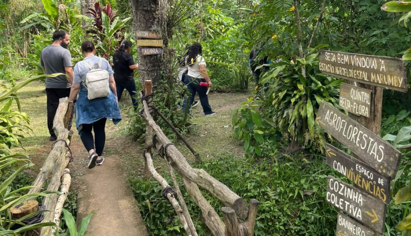 ASN Paraná - Agência Sebrae de Notícias