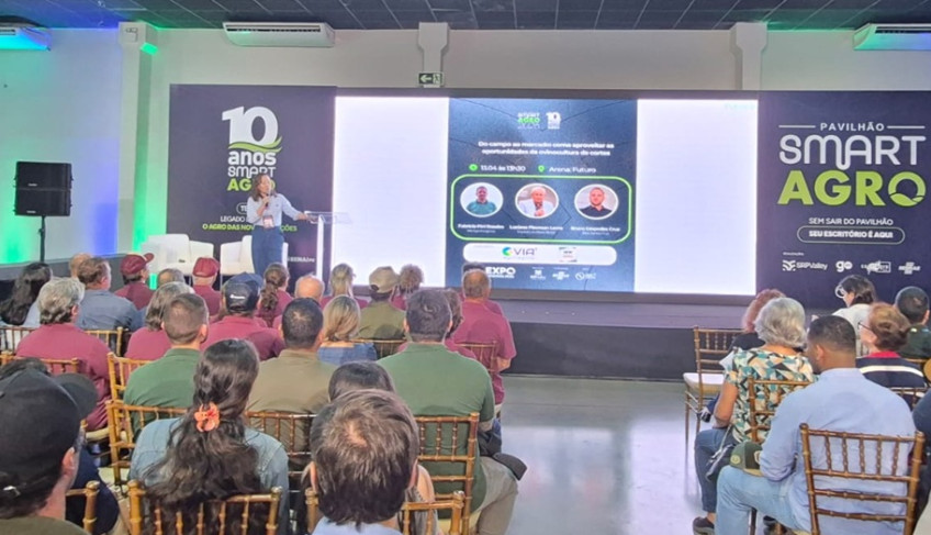 ASN Paraná - Agência Sebrae de Notícias