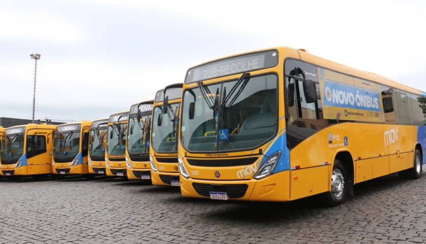 ASN Paraná - Agência Sebrae de Notícias