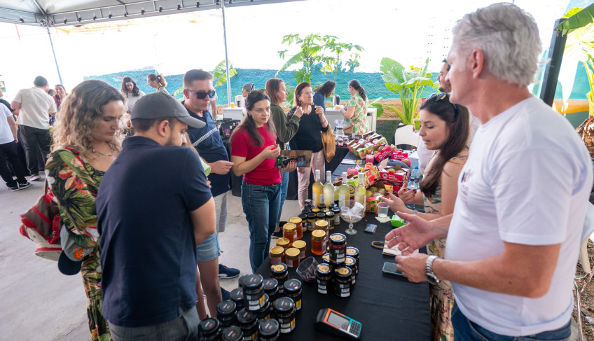 ASN Paraná - Agência Sebrae de Notícias