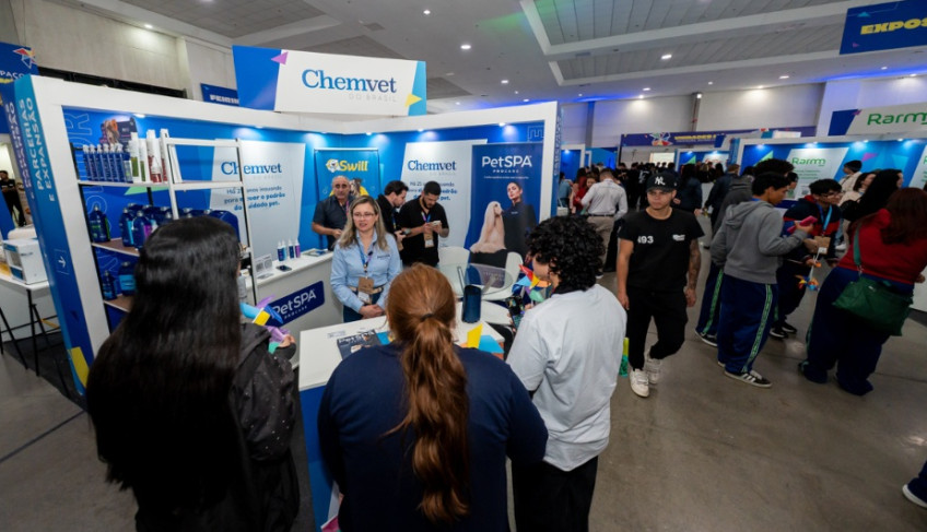ASN Paraná - Agência Sebrae de Notícias