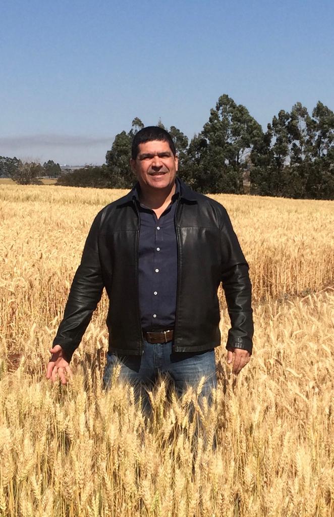Divanildo Carvalho Junior abordará a qualidade do trigo no Paraná