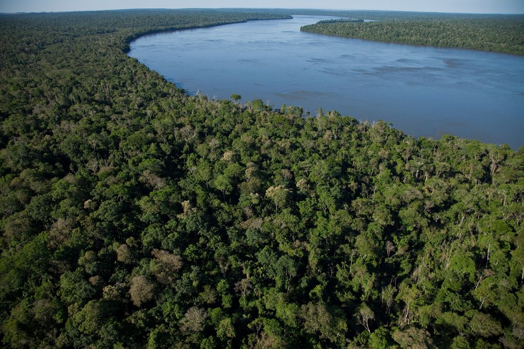 Parque Nacional do Iguaçu e o rio Iguaçu diferenciam a produção do mel de Capanema